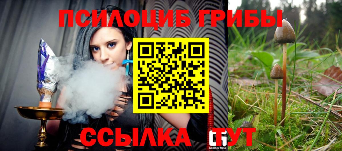 Галлюциногенные грибы Magic Shrooms Омск