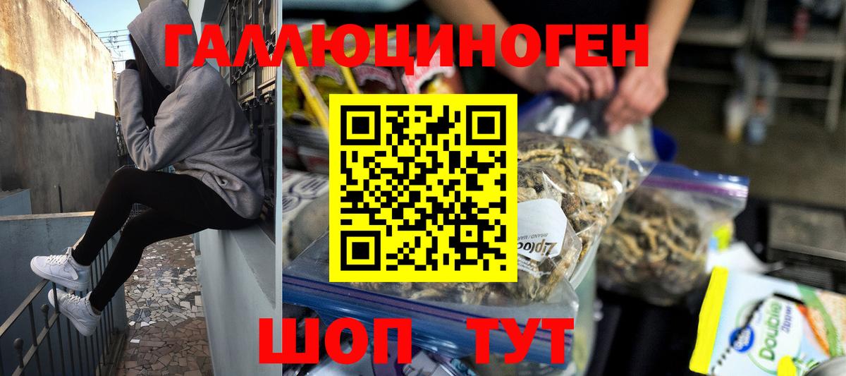 Омск  Галлюциногенные грибы Cubensis  Вход с VPN  Псилоцибиновые грибы GOLDEN TEACHER 